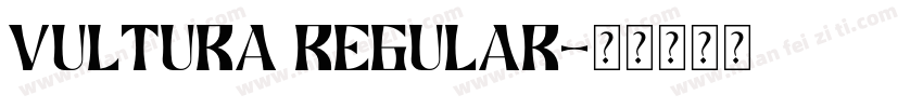 Vultura Regular字体转换